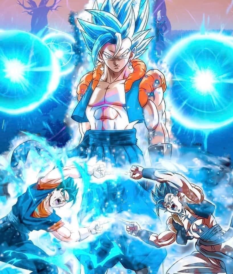 Pashyn banner image