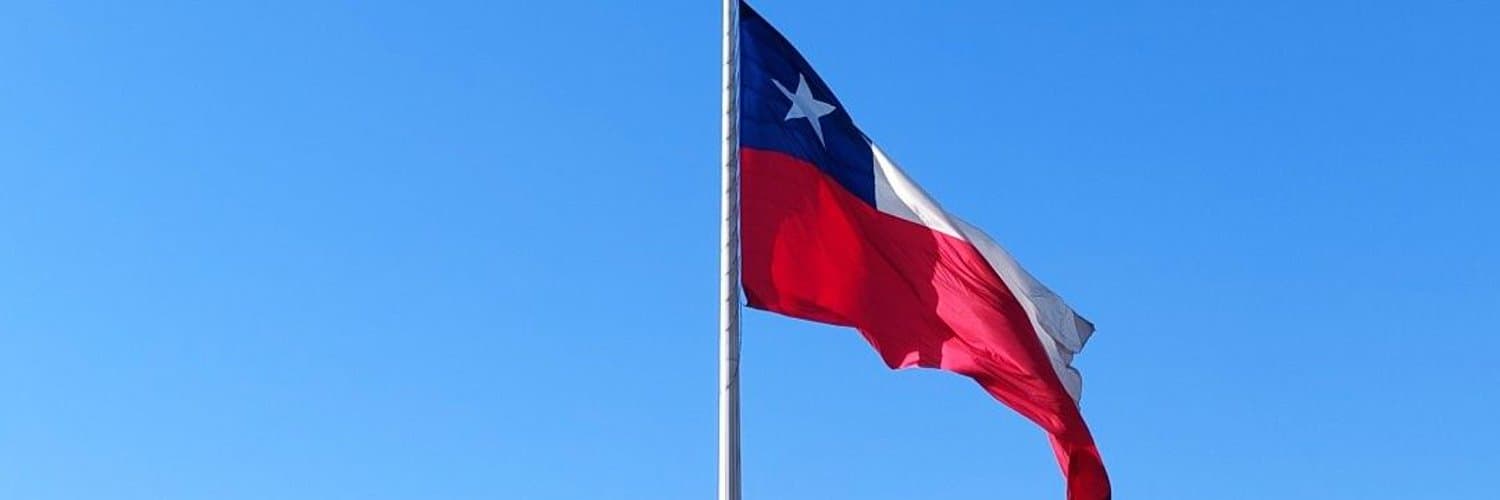 Pedro E. Alonso B. banner image