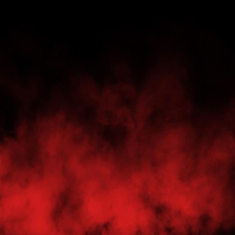Emily banner image
