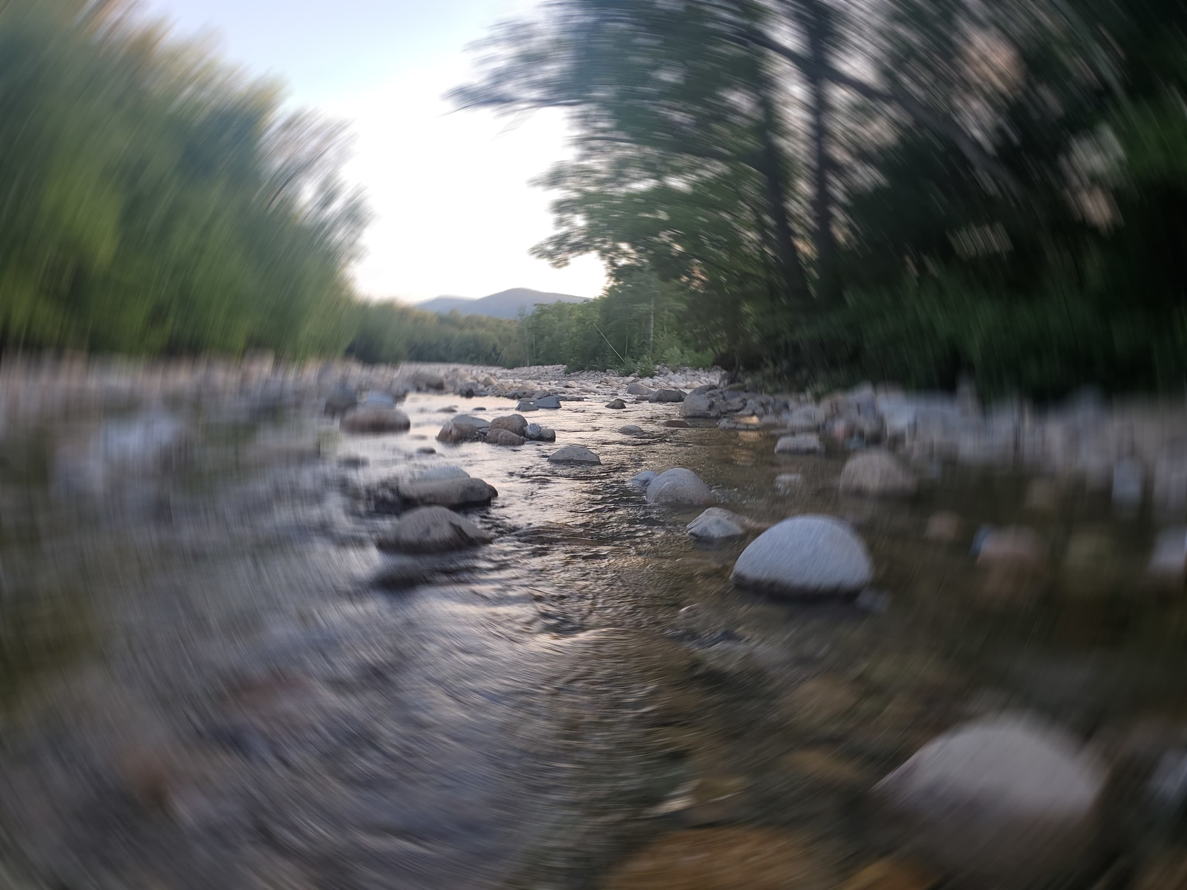 New England Country Boy banner image