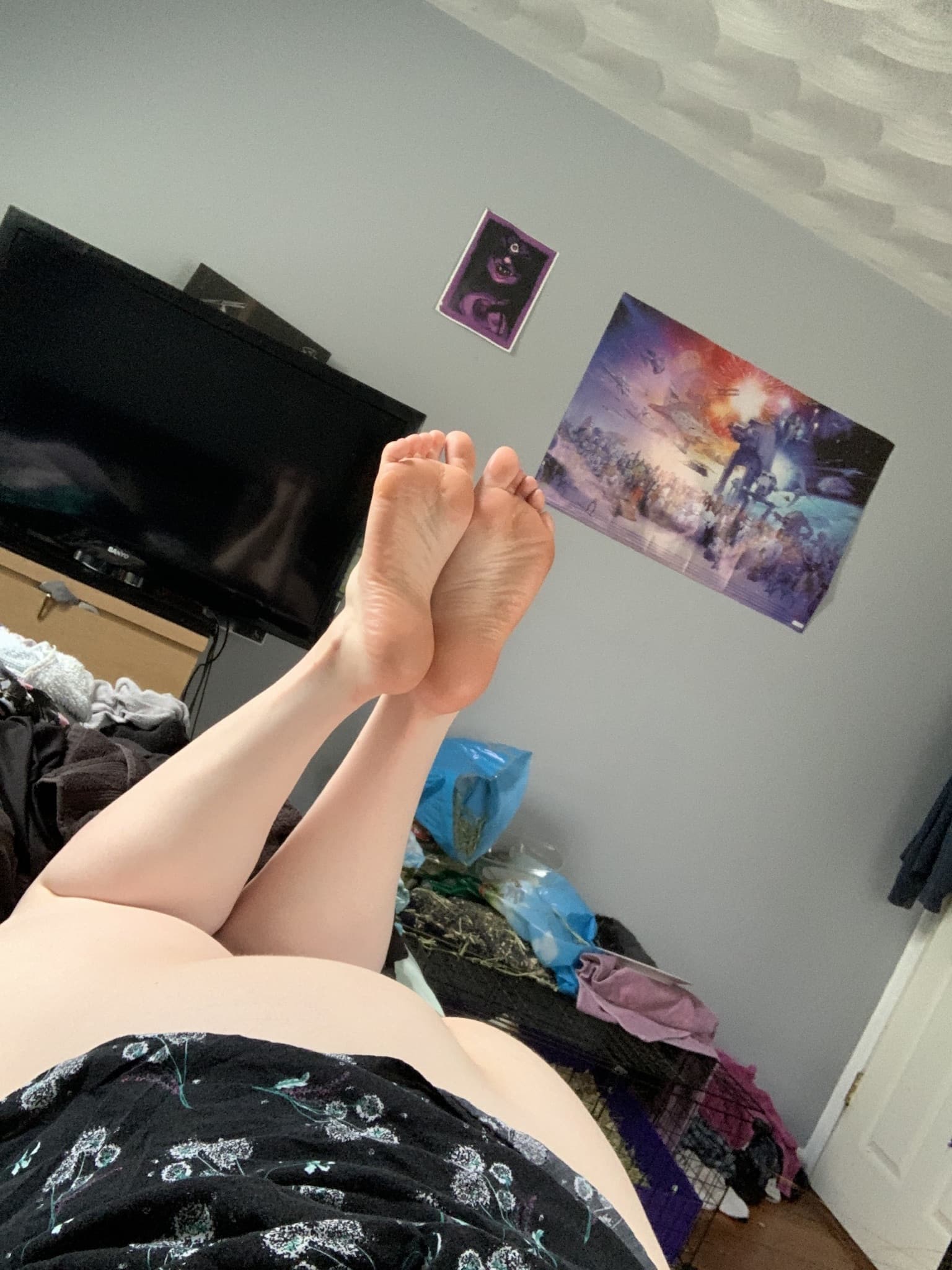 Riley Maeve banner image