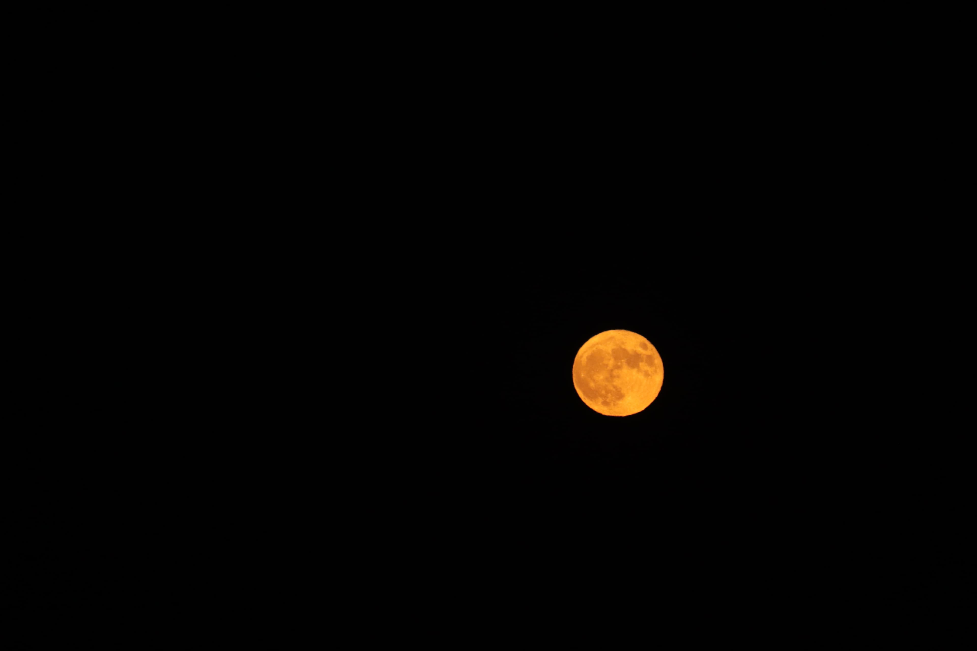 C'est moi 🌙 banner image