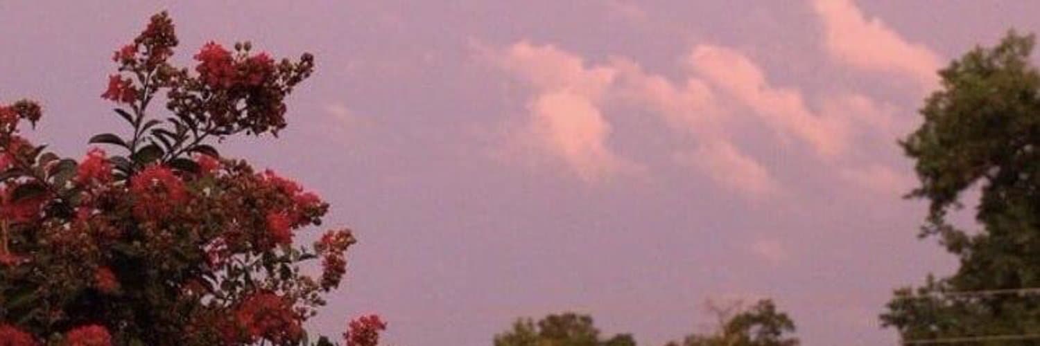 𝔪𝔬𝔯𝔱𝔦𝔠𝔦𝔞 banner image