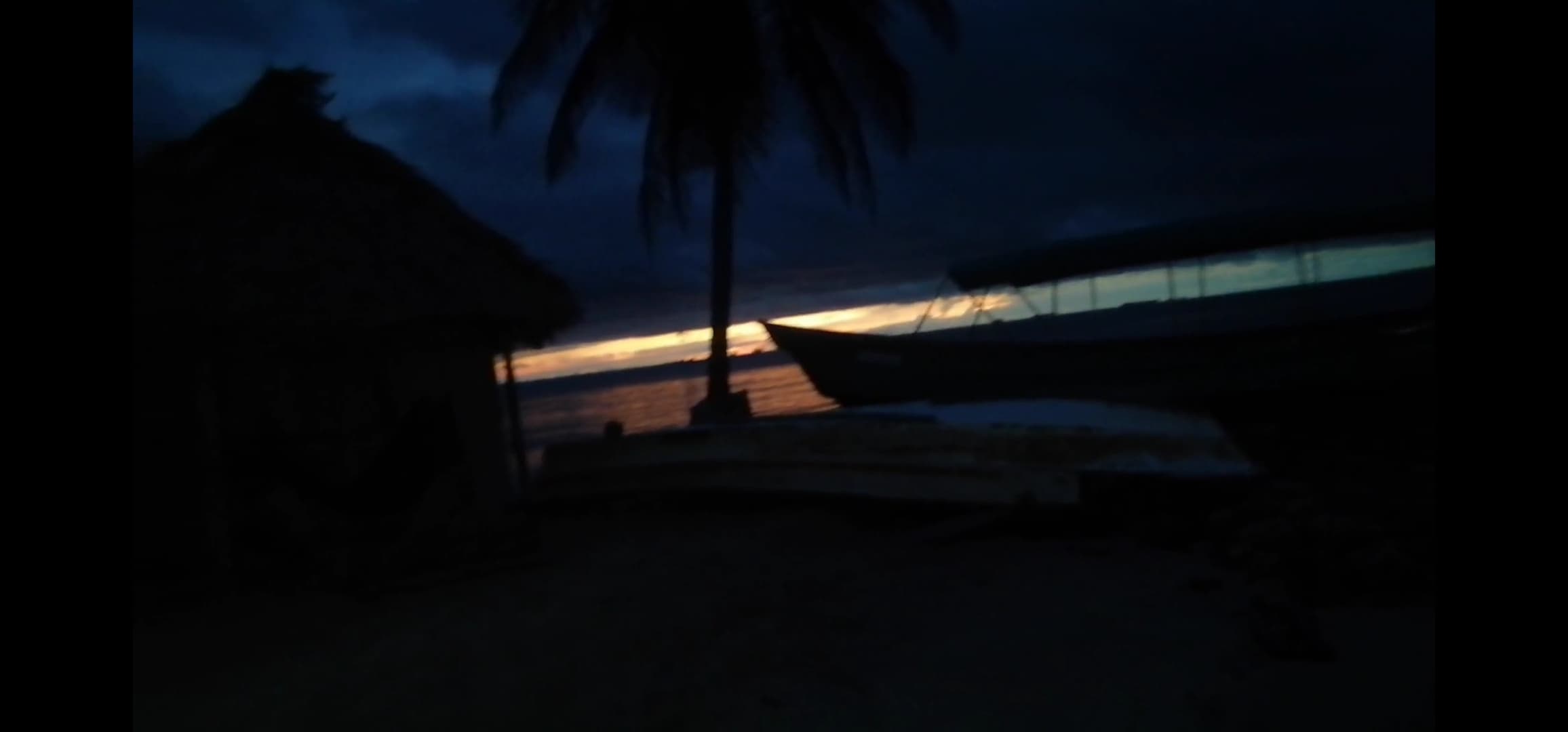 Buena Vida banner image