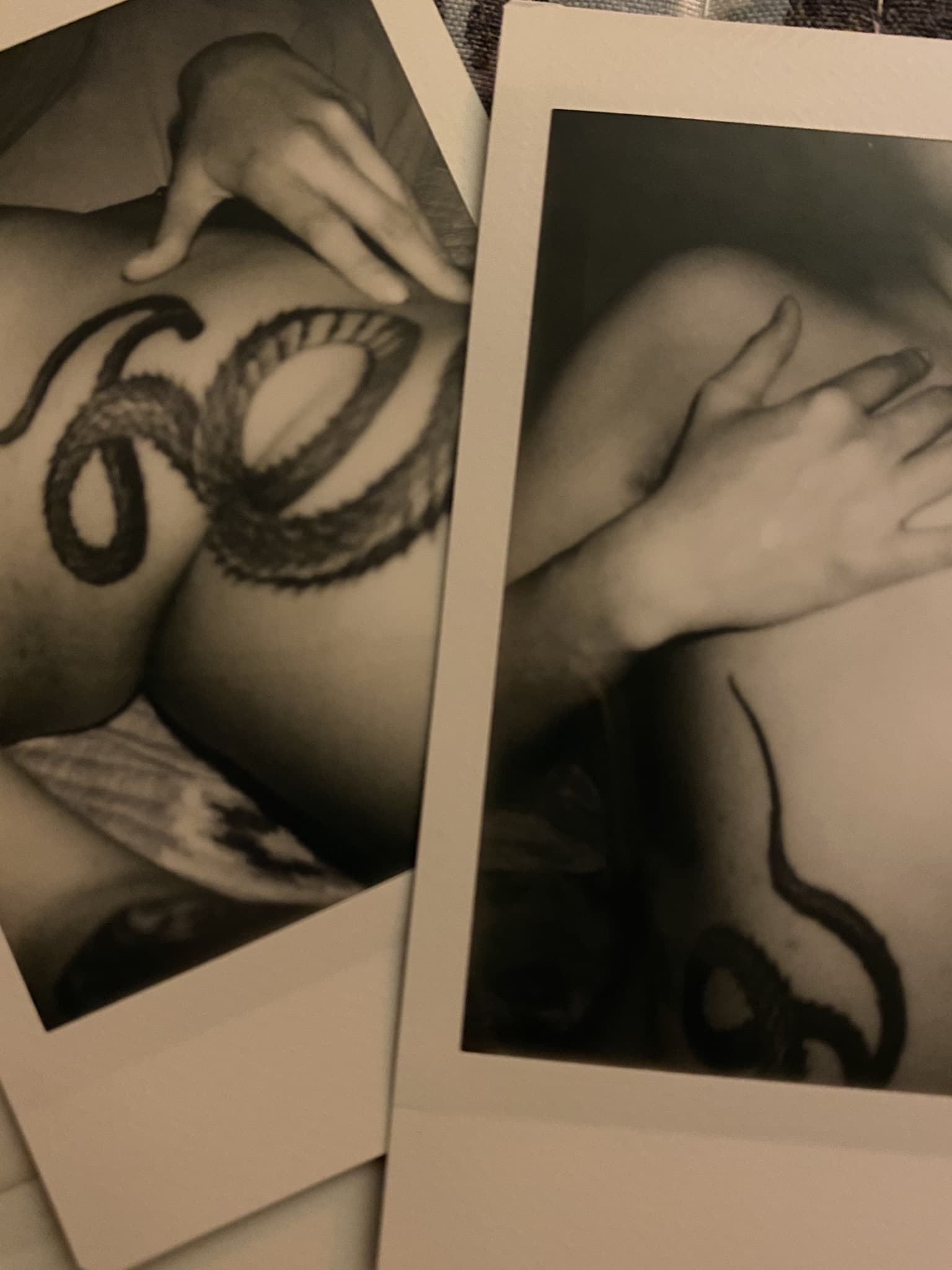 Sad Kitty banner image