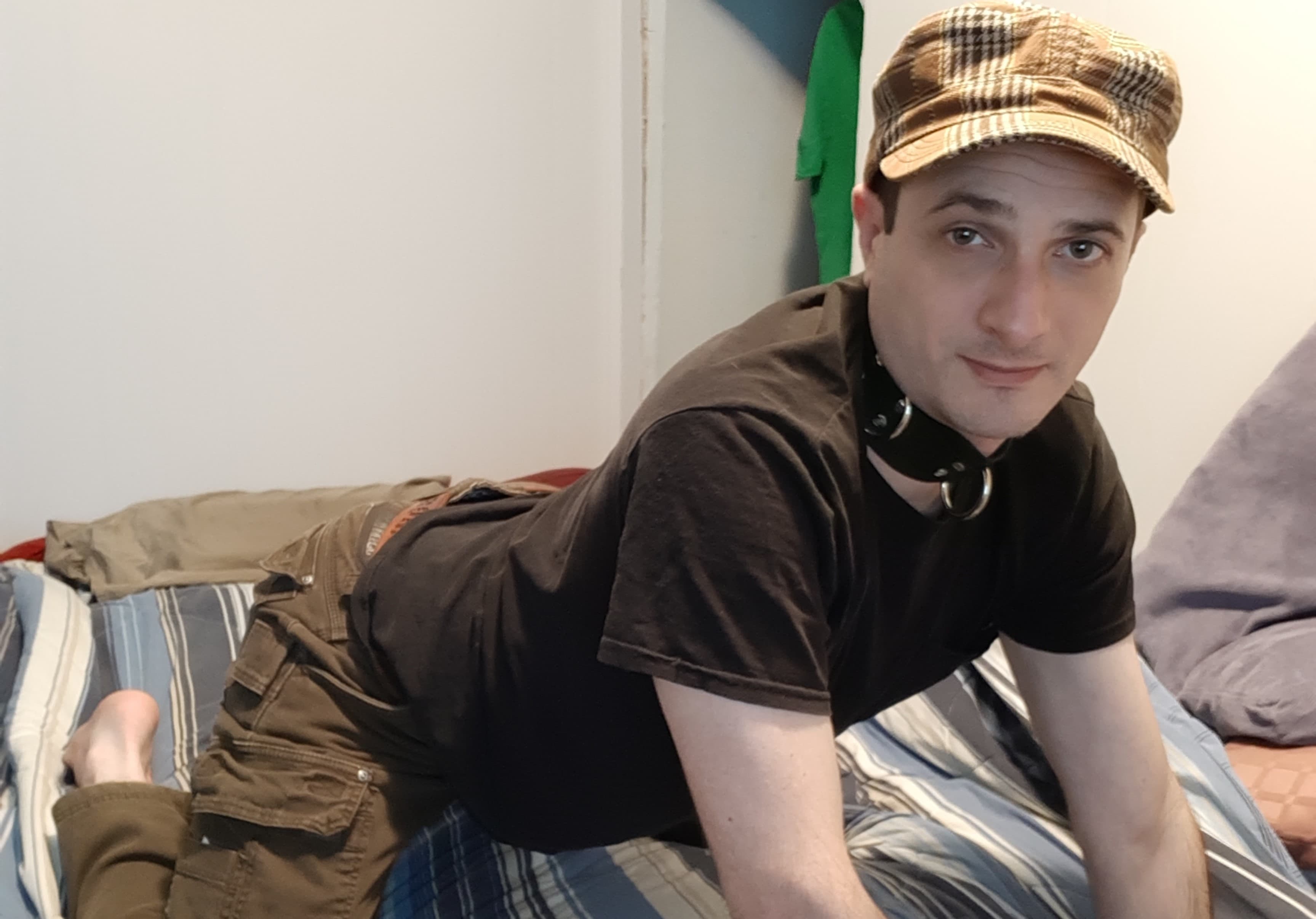 Toy Pet banner image