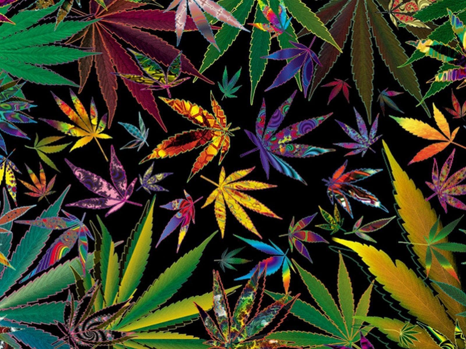 StonieJocie77 banner image