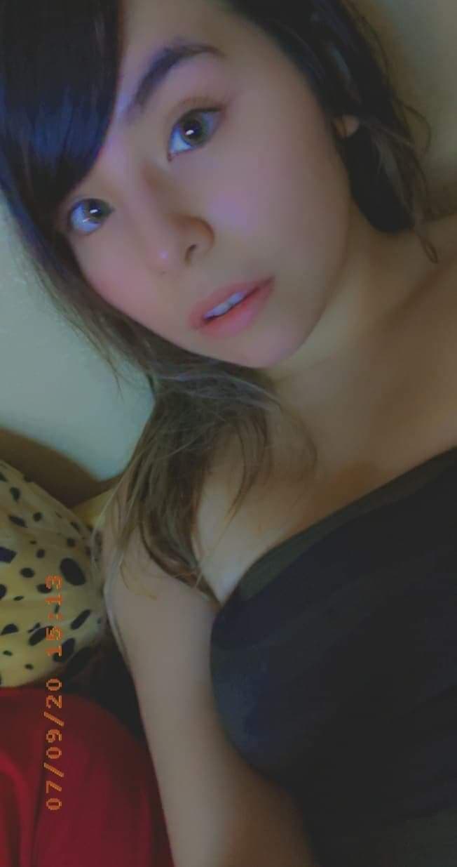 lostkitten banner image