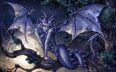 Jasmine Dragon banner image