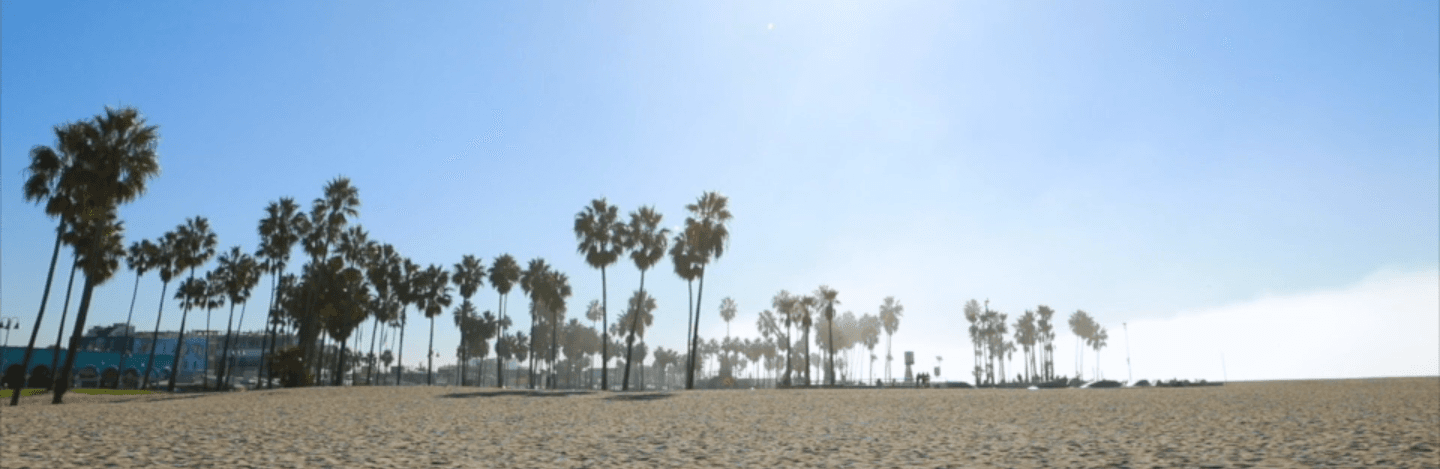 Austin Avery banner image