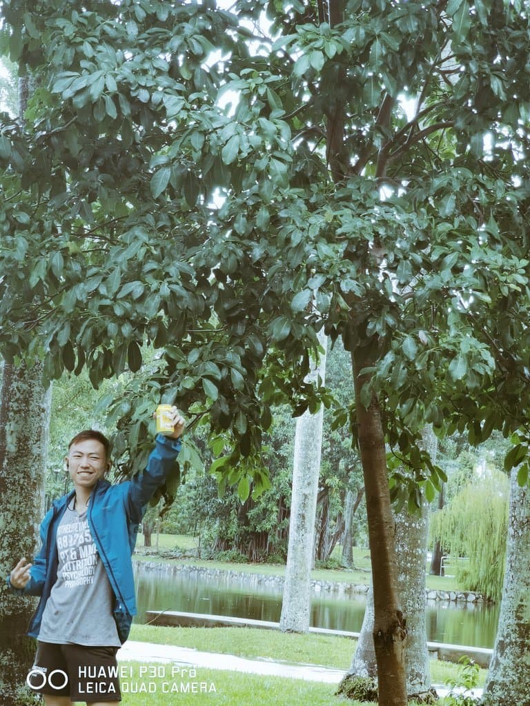 Matthew lin banner image