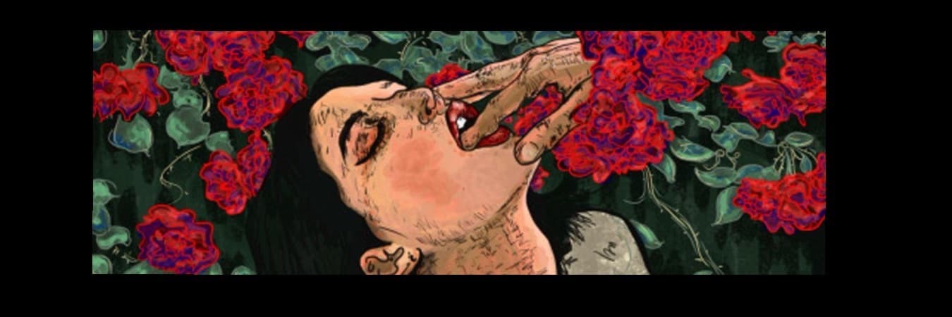 Babie Tripp banner image