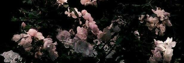 Elle Satin banner image