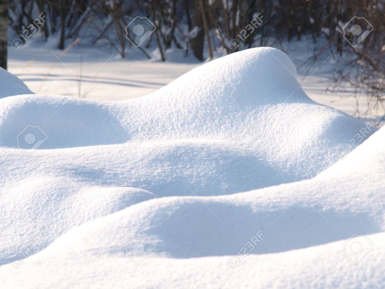 Icelandick banner image