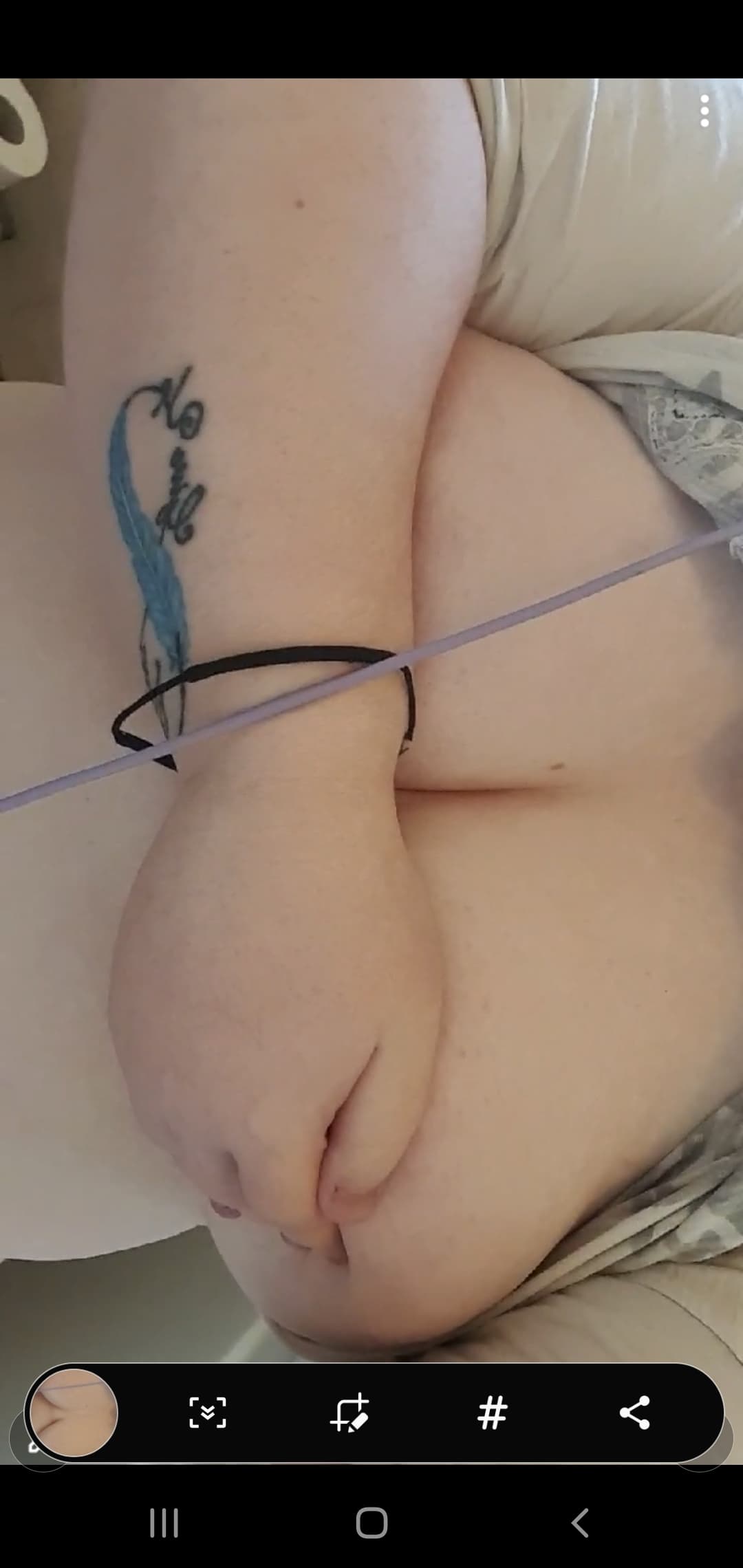 Your Kitten banner image