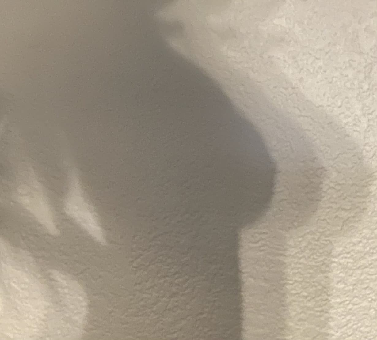 Brit🖤 banner image