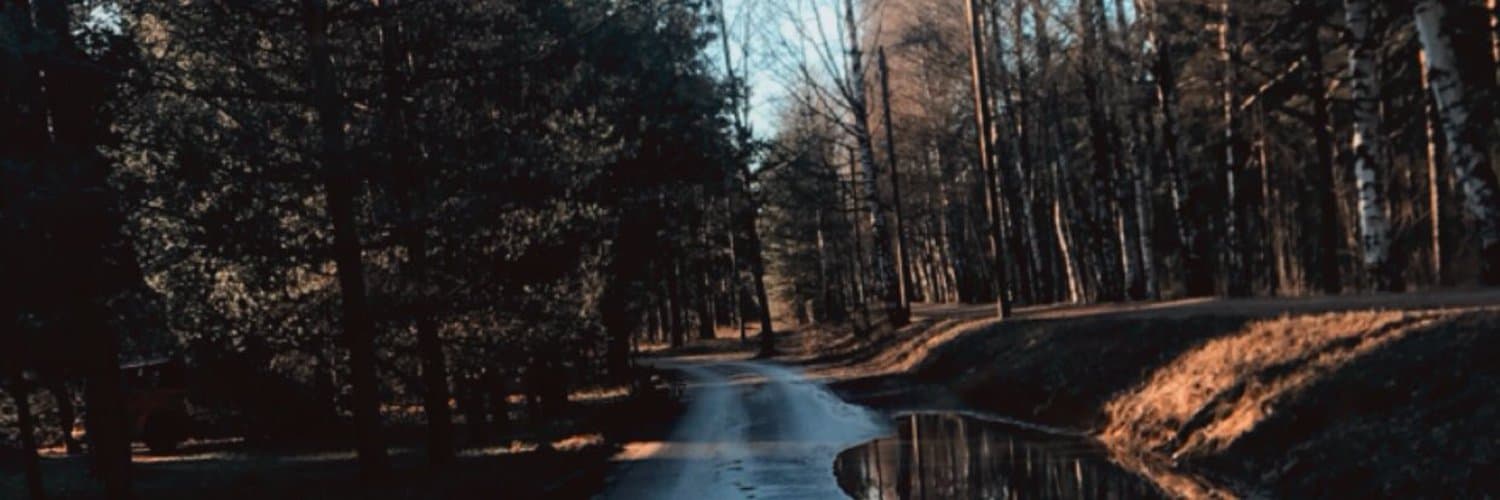🖤 banner image