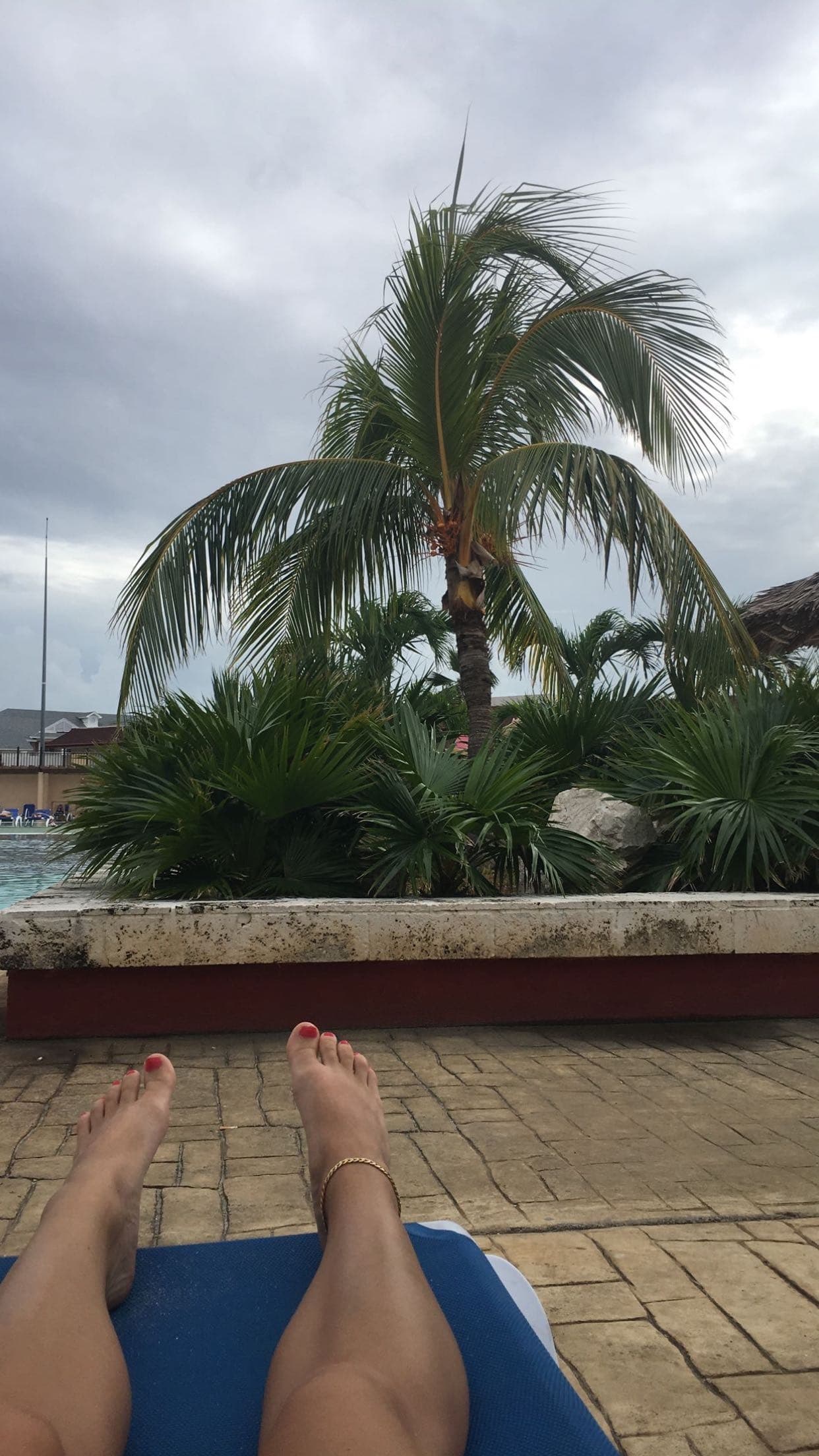 Phoebe’s Feeties banner image