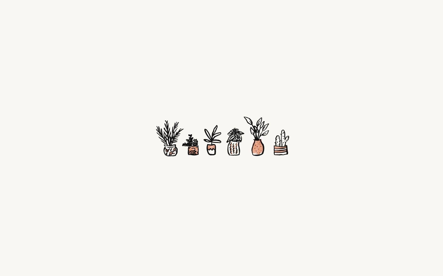 Megan banner image