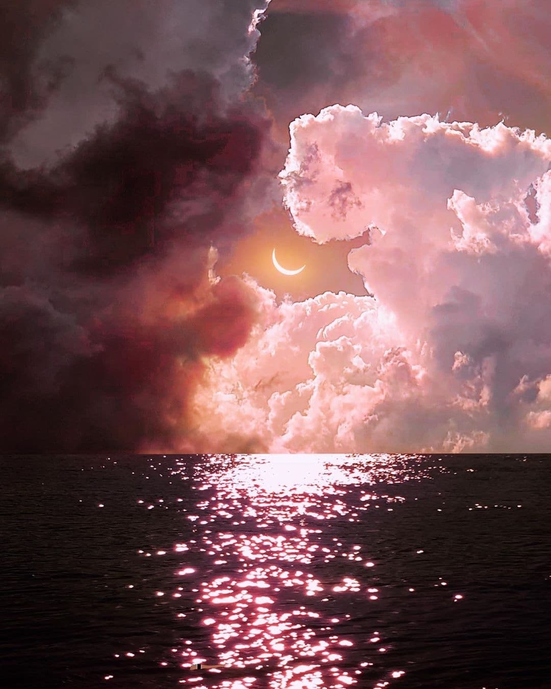 Jordan Fox banner image