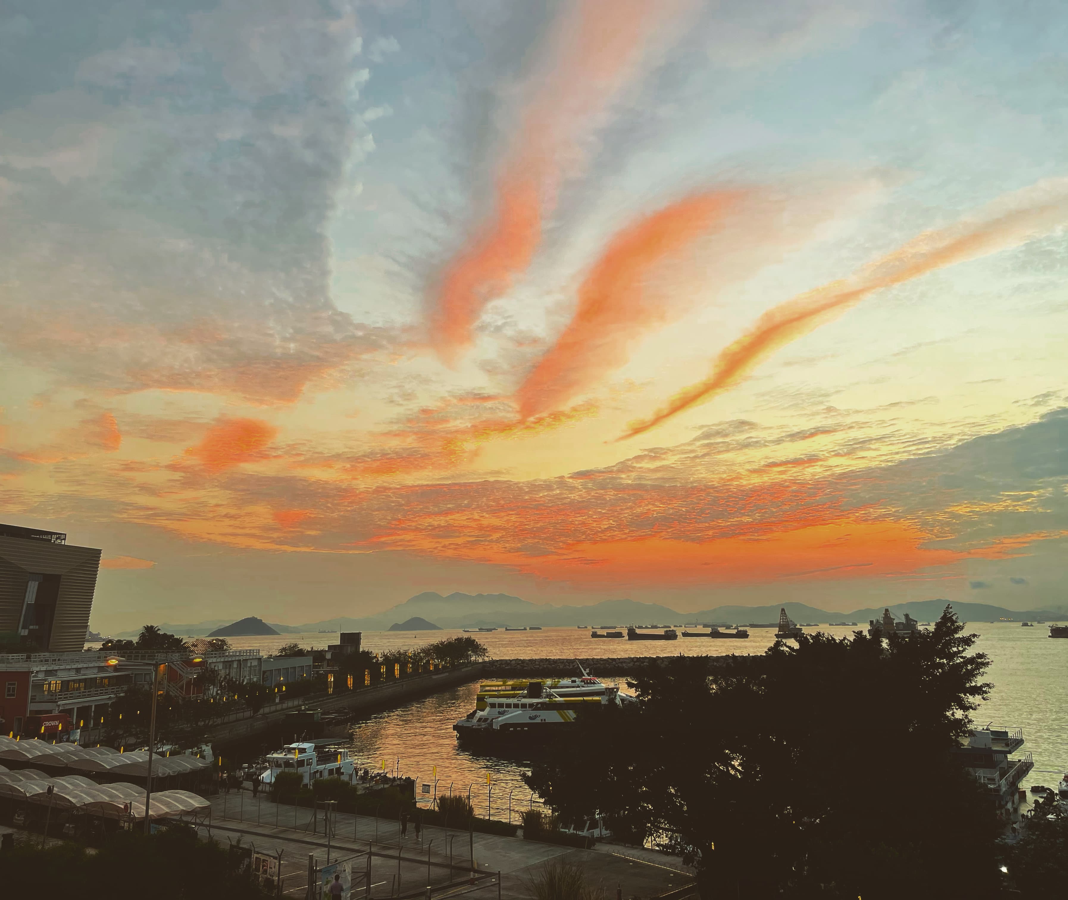 🇭🇰肌男控射主 banner image