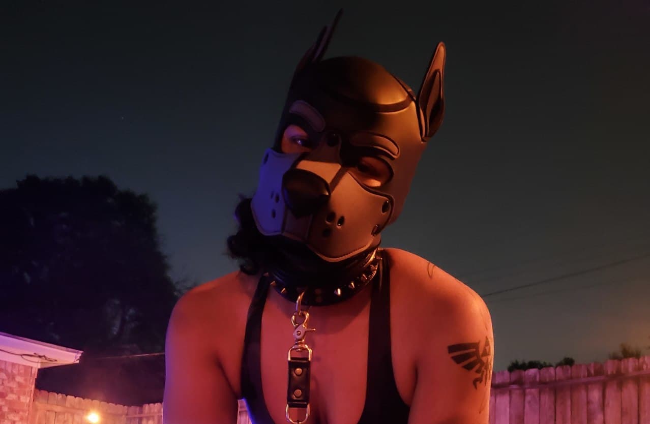 Yeen Pup Bean banner image