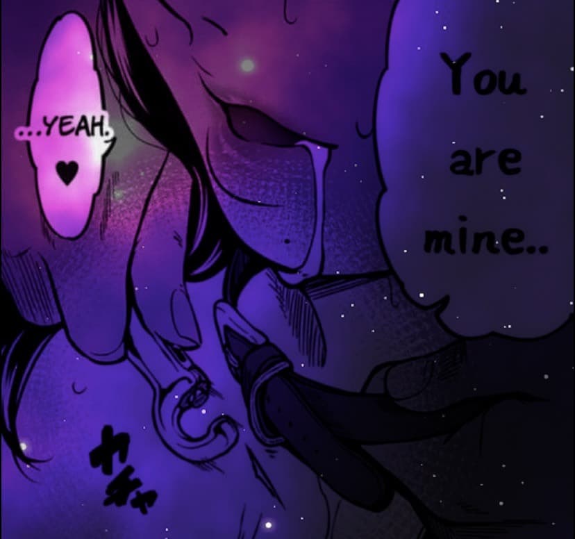 Aftons Rabbit banner image