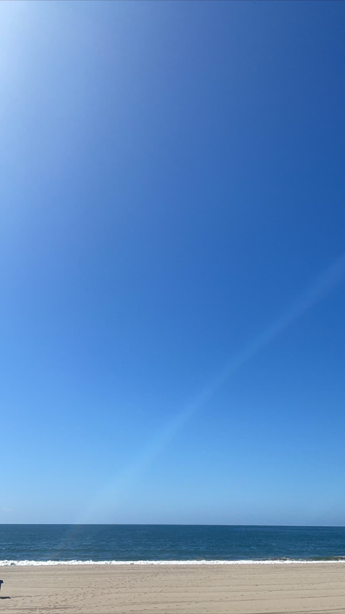 bbvc banner image