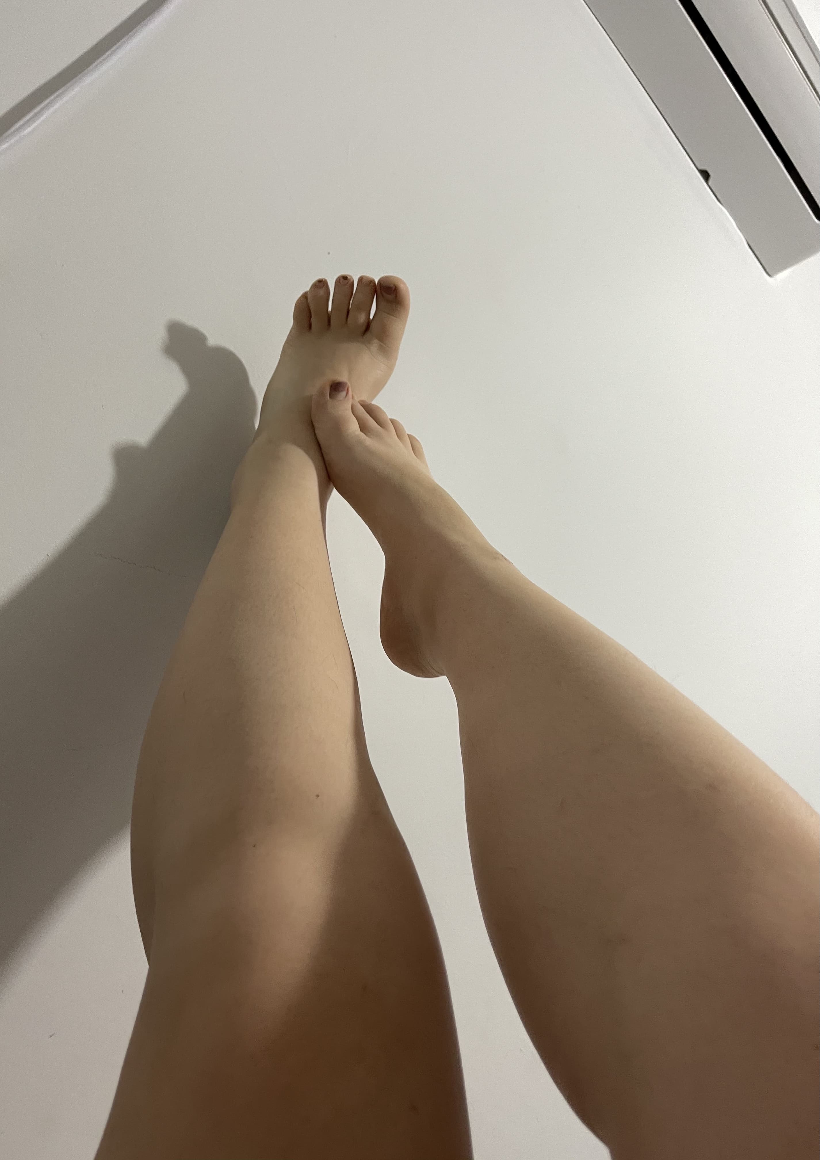 Ariel’s feet banner image