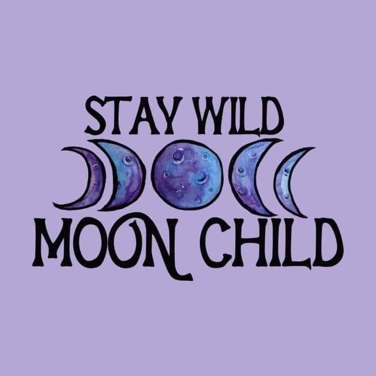 Little Red banner image