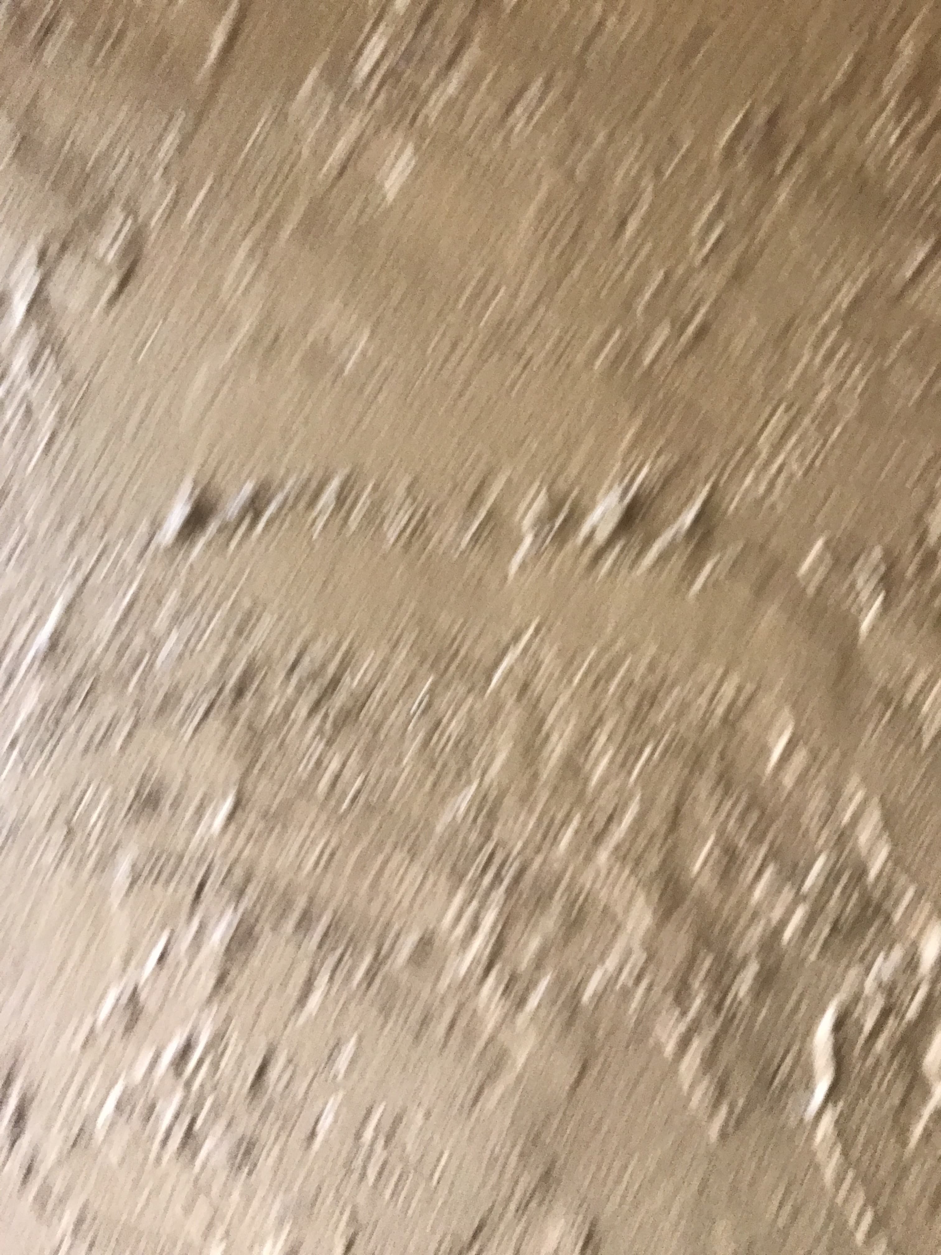 Captin Curve banner image