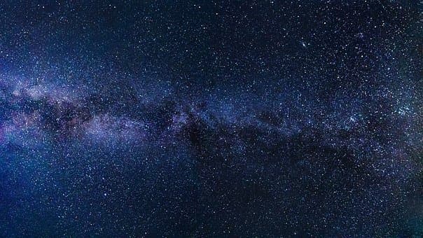 Kiwi banner image