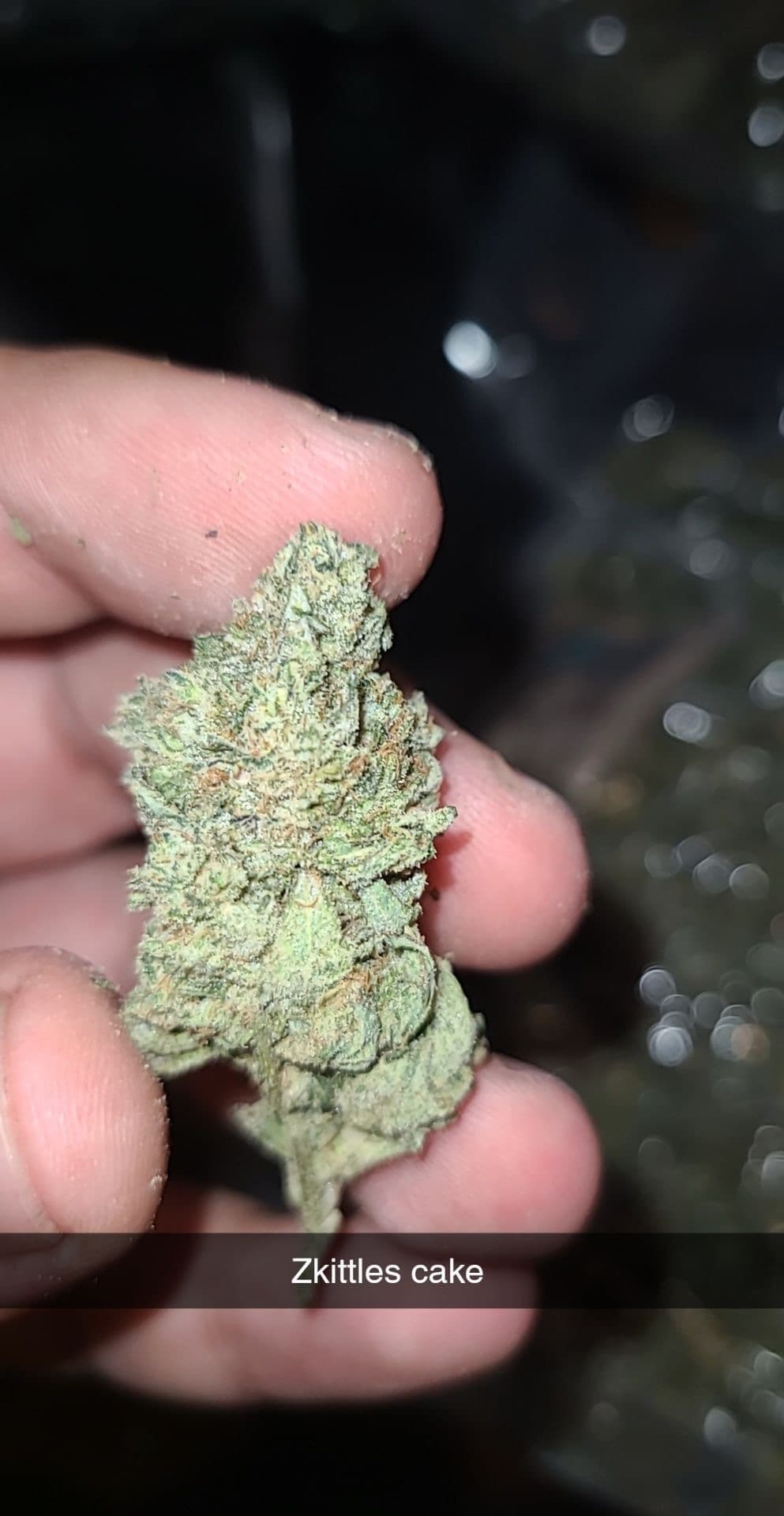 High Guy banner image