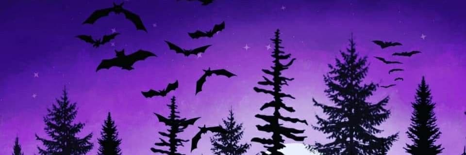 Damien𖤐 banner image