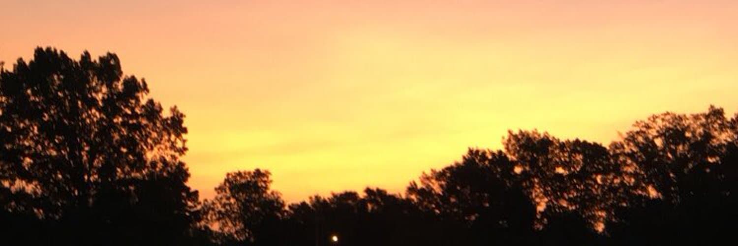 Ic3blvde banner image