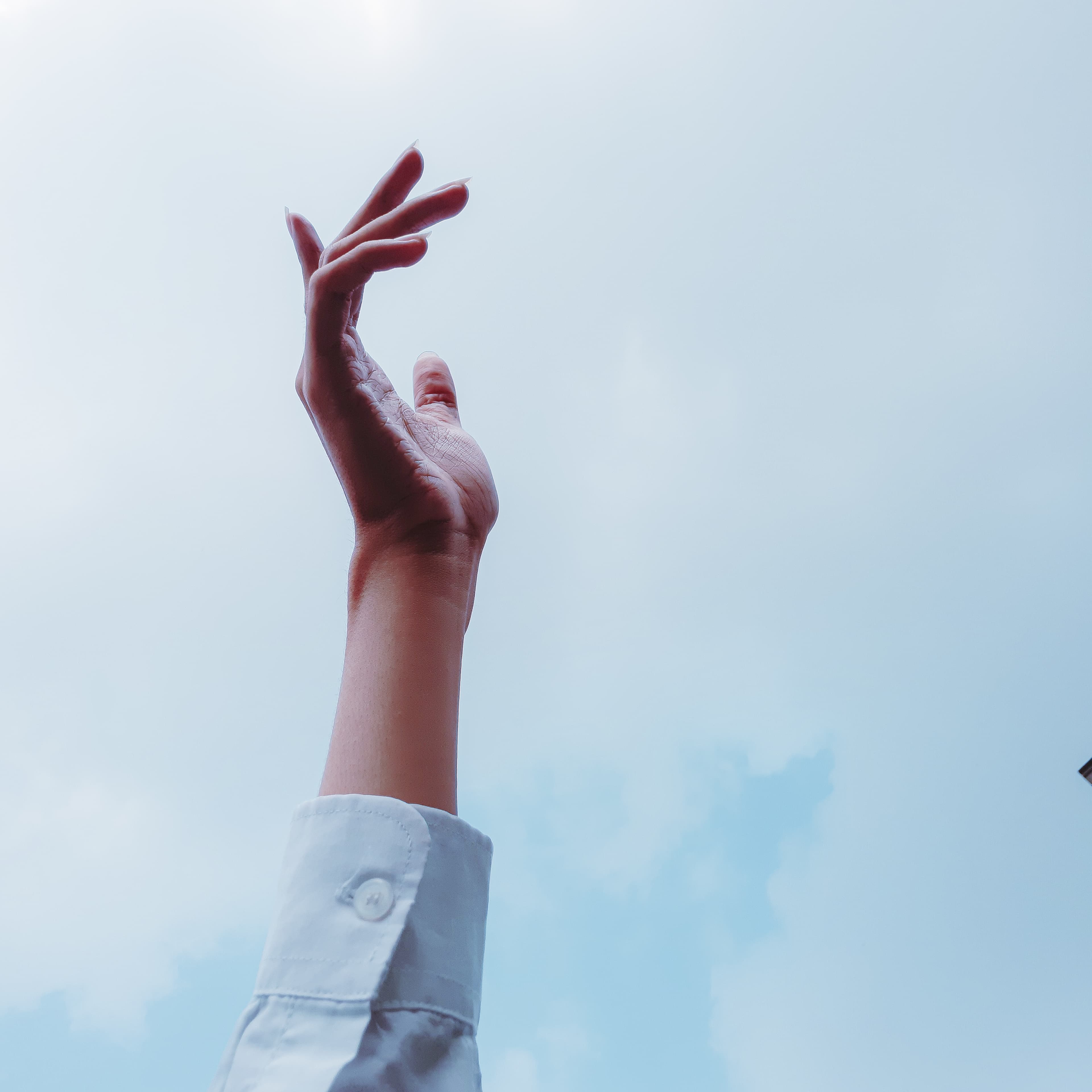 Jackfrozt banner image