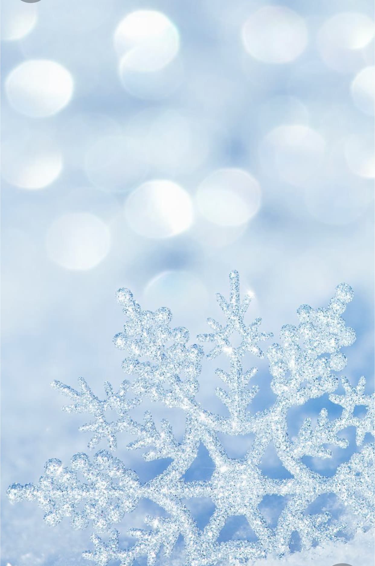 Winter Baby banner image