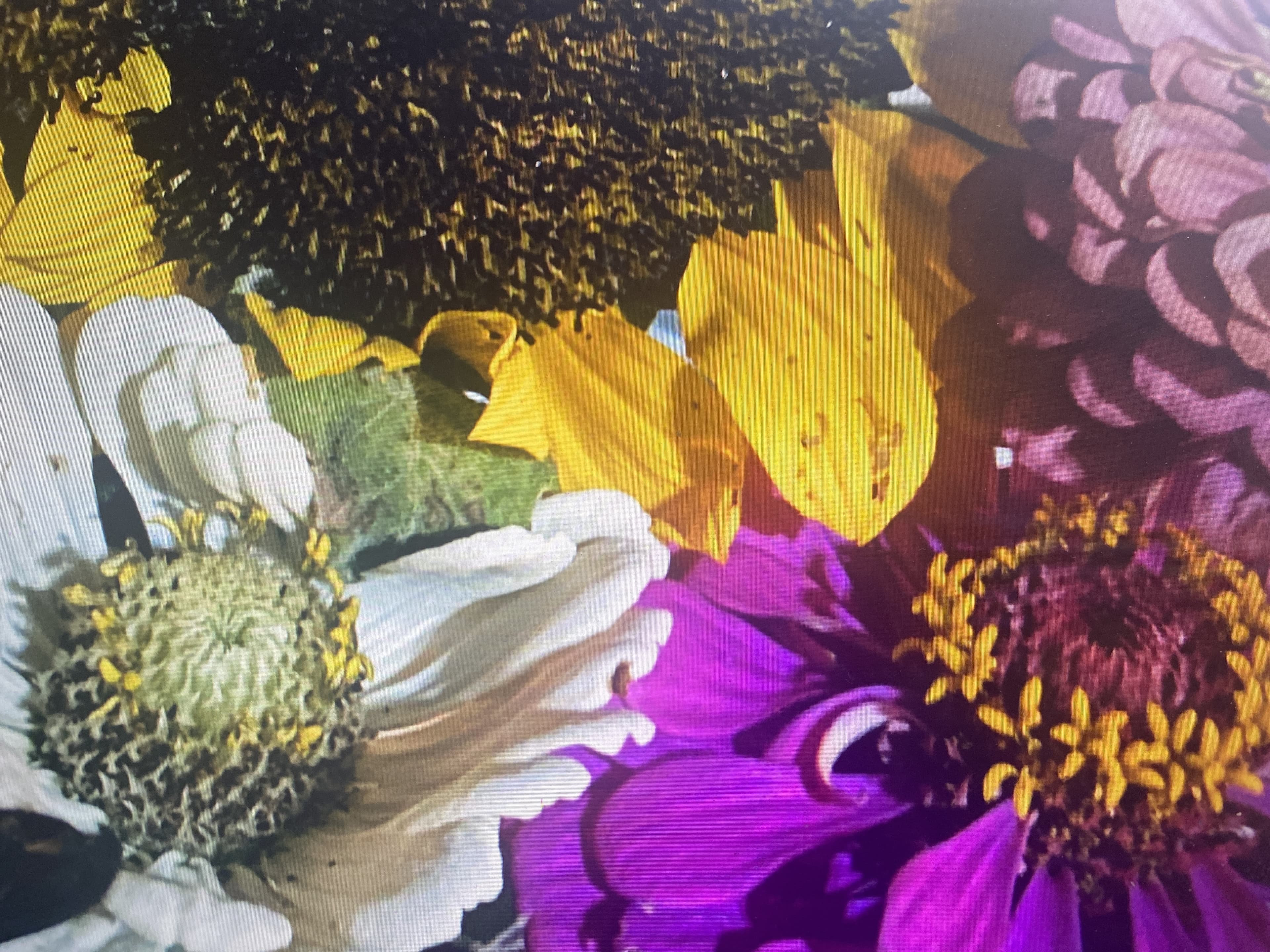 prmamasita banner image