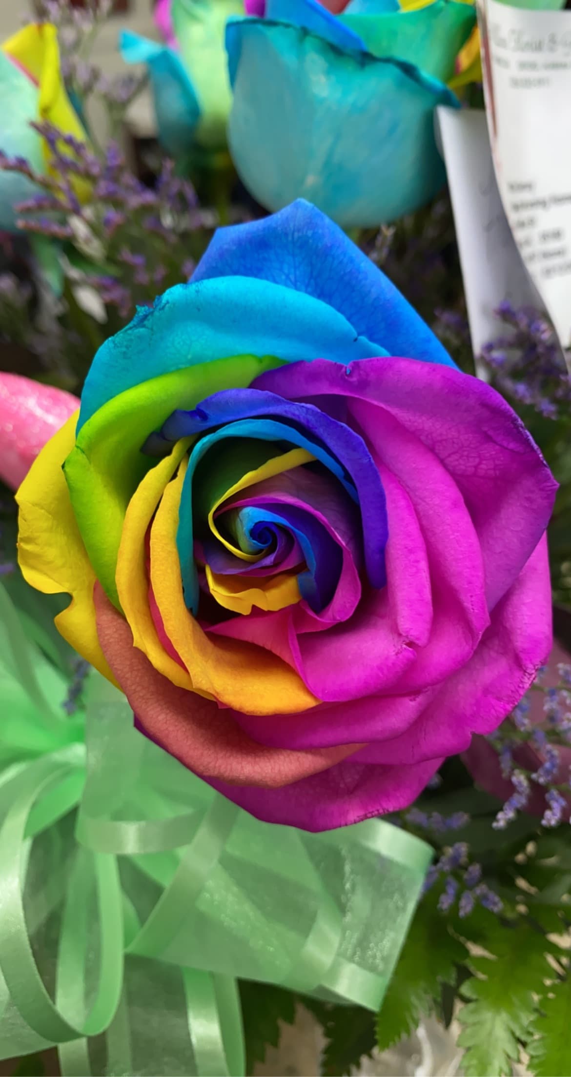 Gracie banner image
