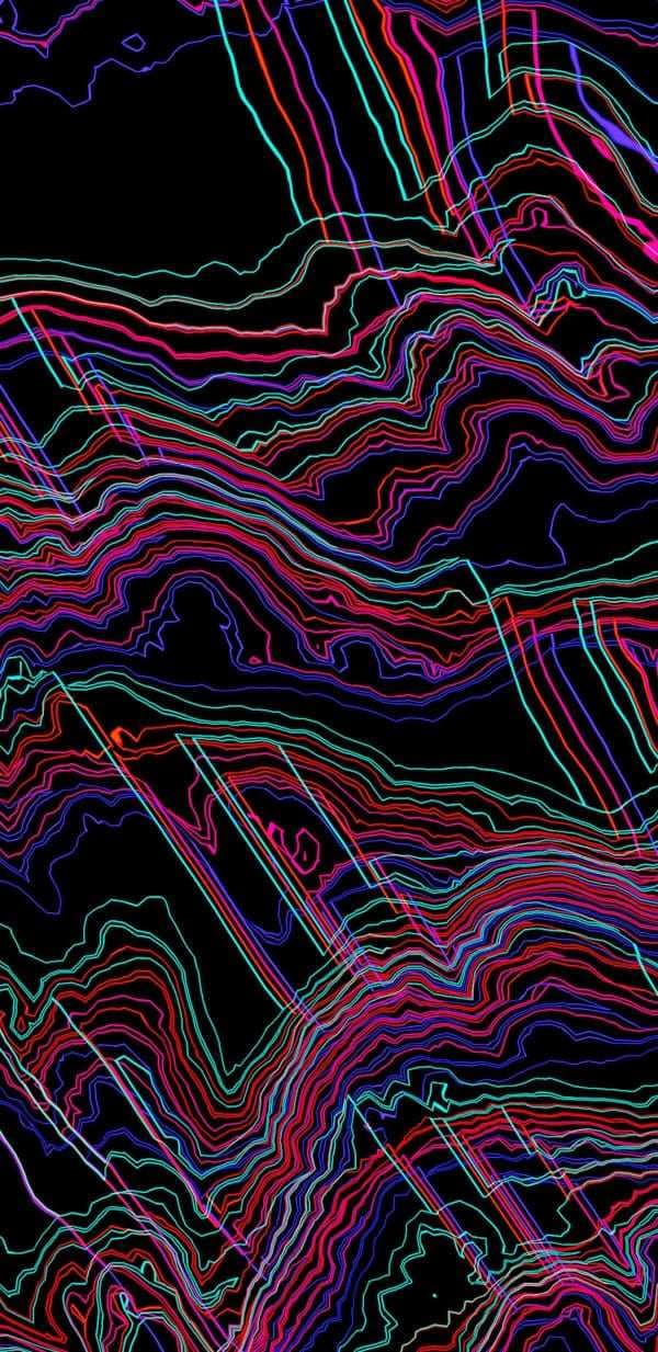 Pablo banner image