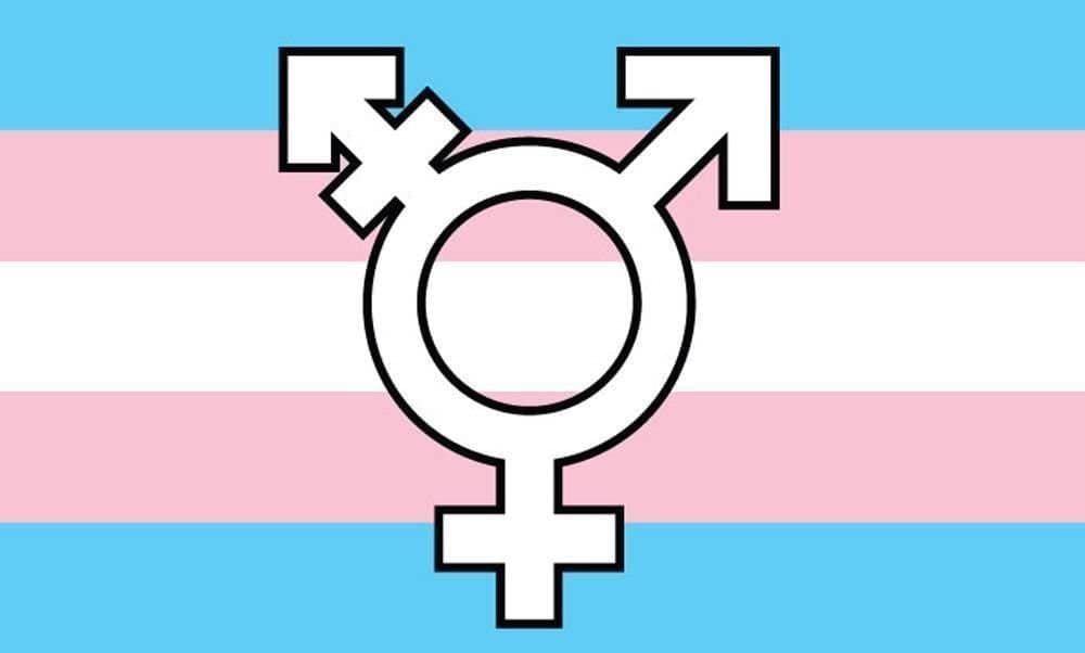 RinTranstastic banner image