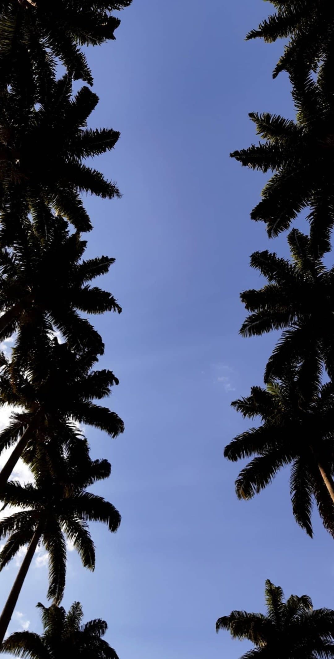 Lucas banner image
