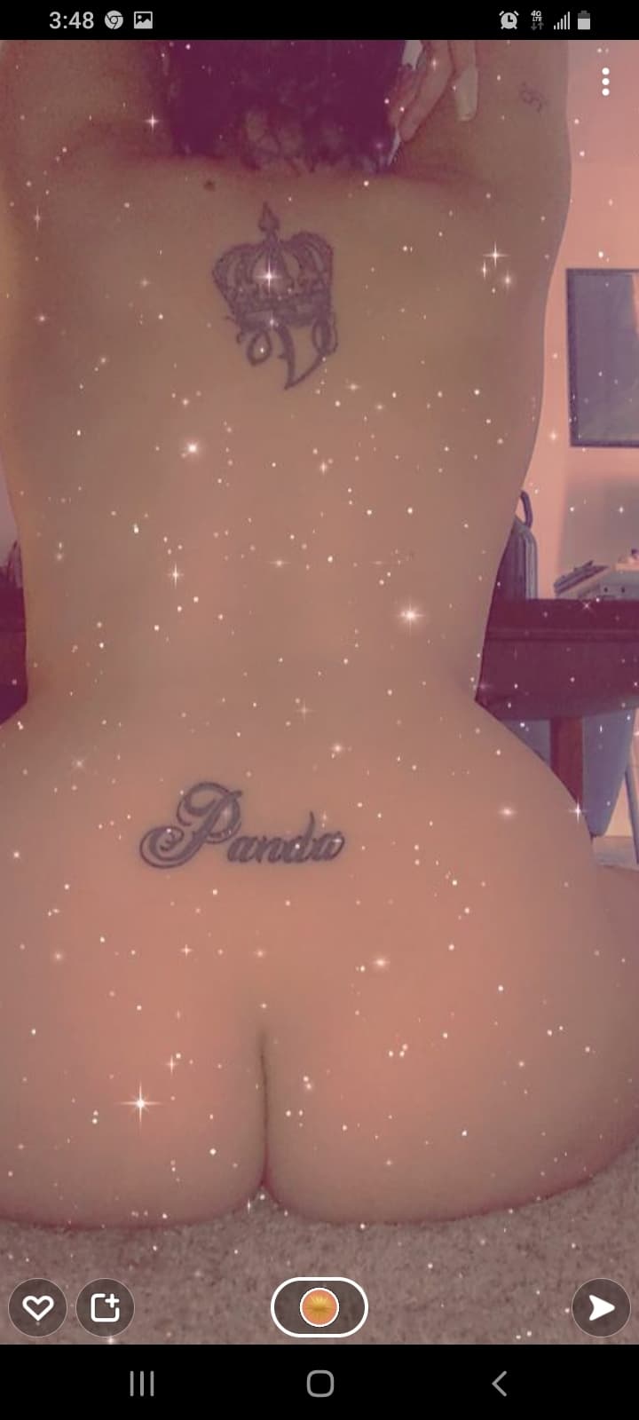 CheekyPanda banner image