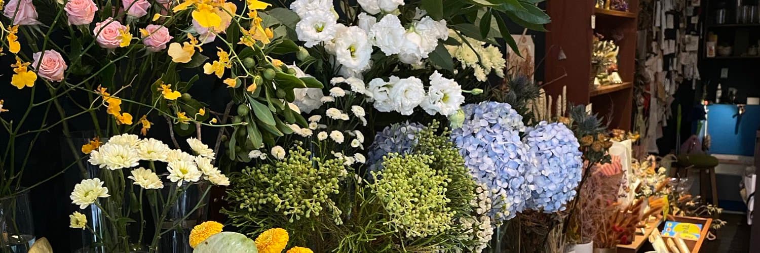 南南 banner image