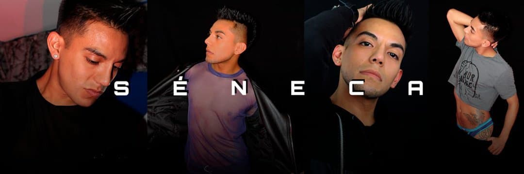 Séneca banner image