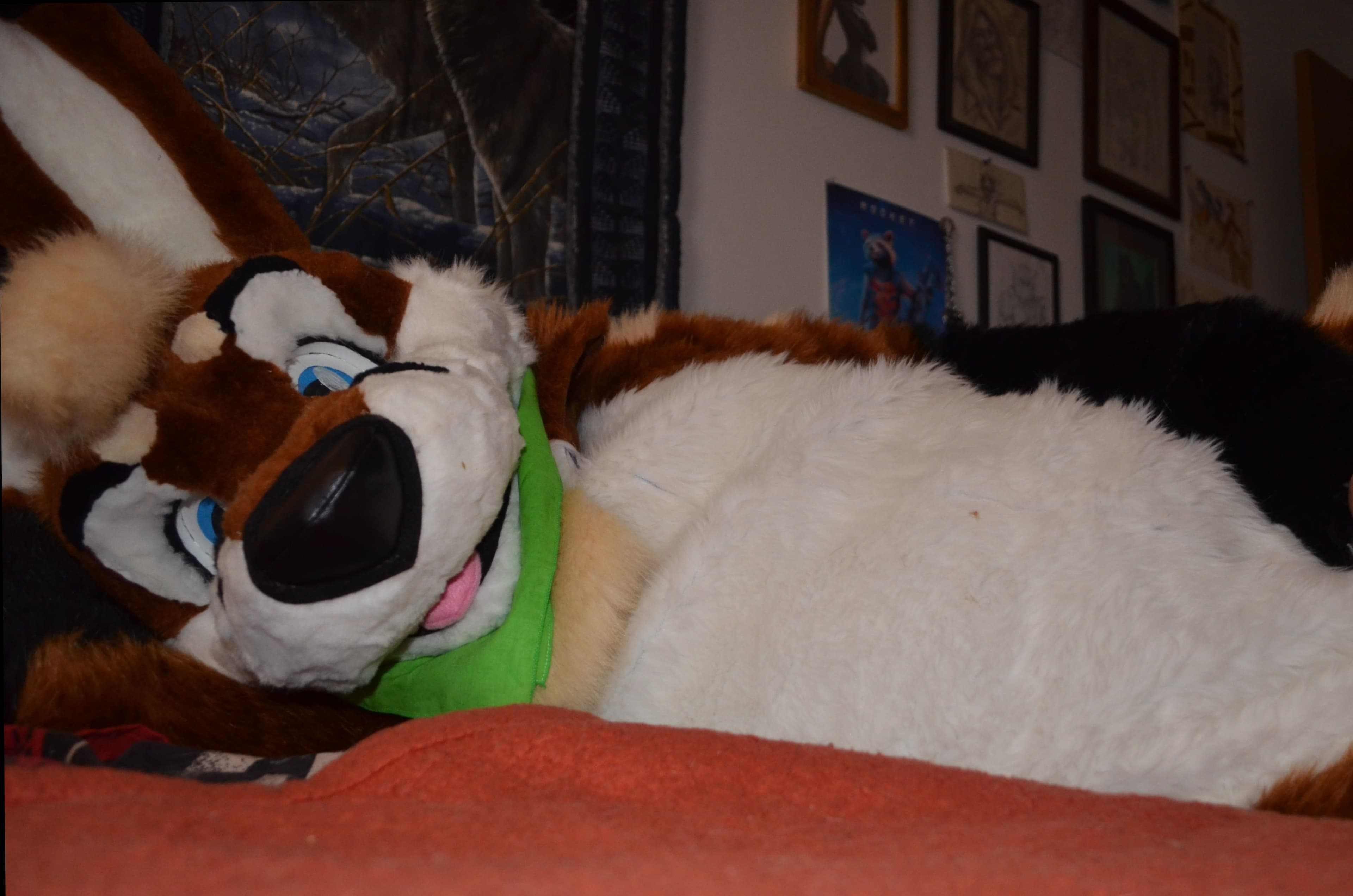Chaz Wolf banner image
