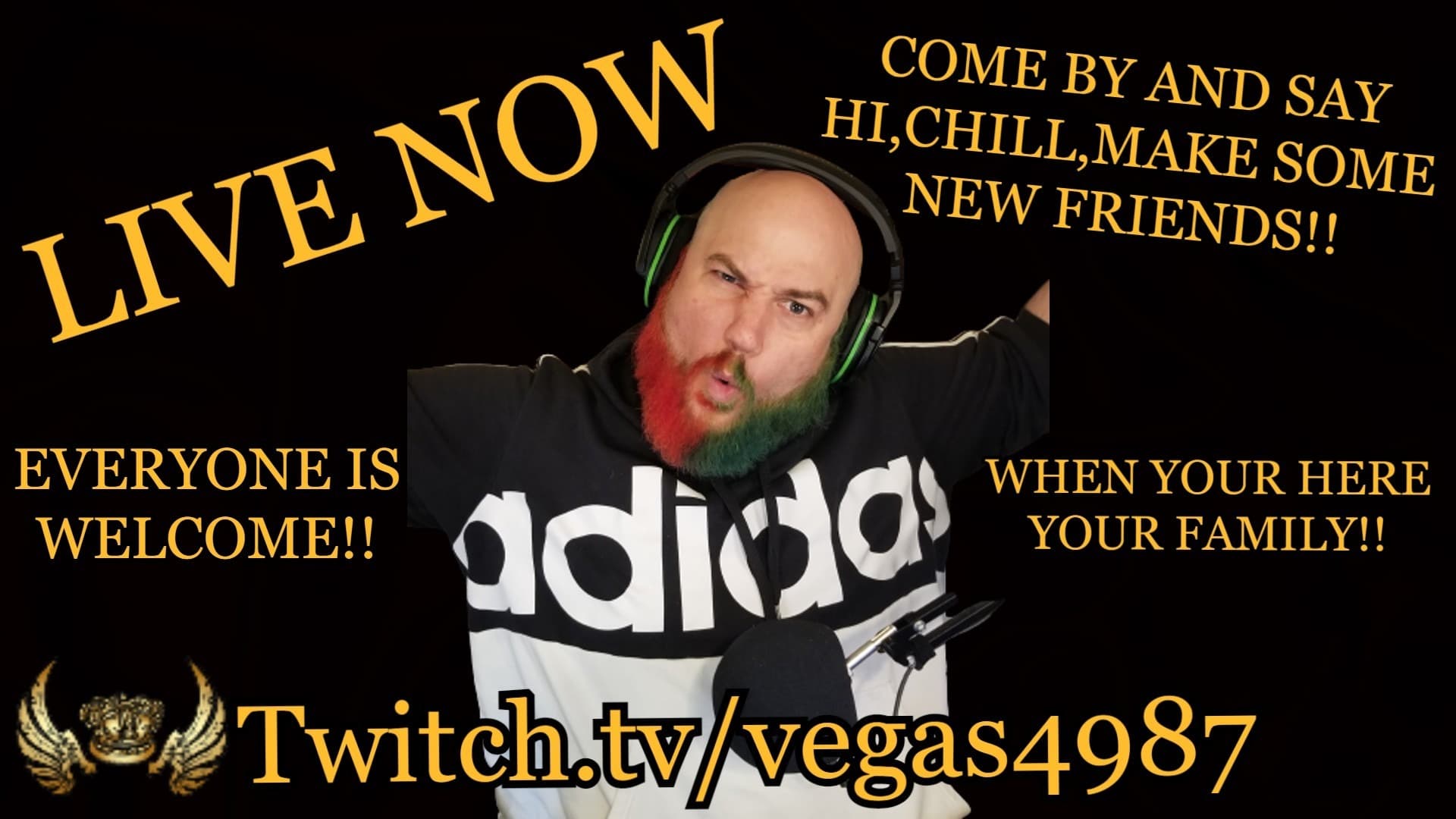 vegas4987 banner image