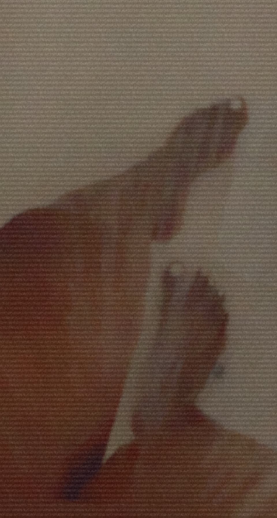 Nicole banner image