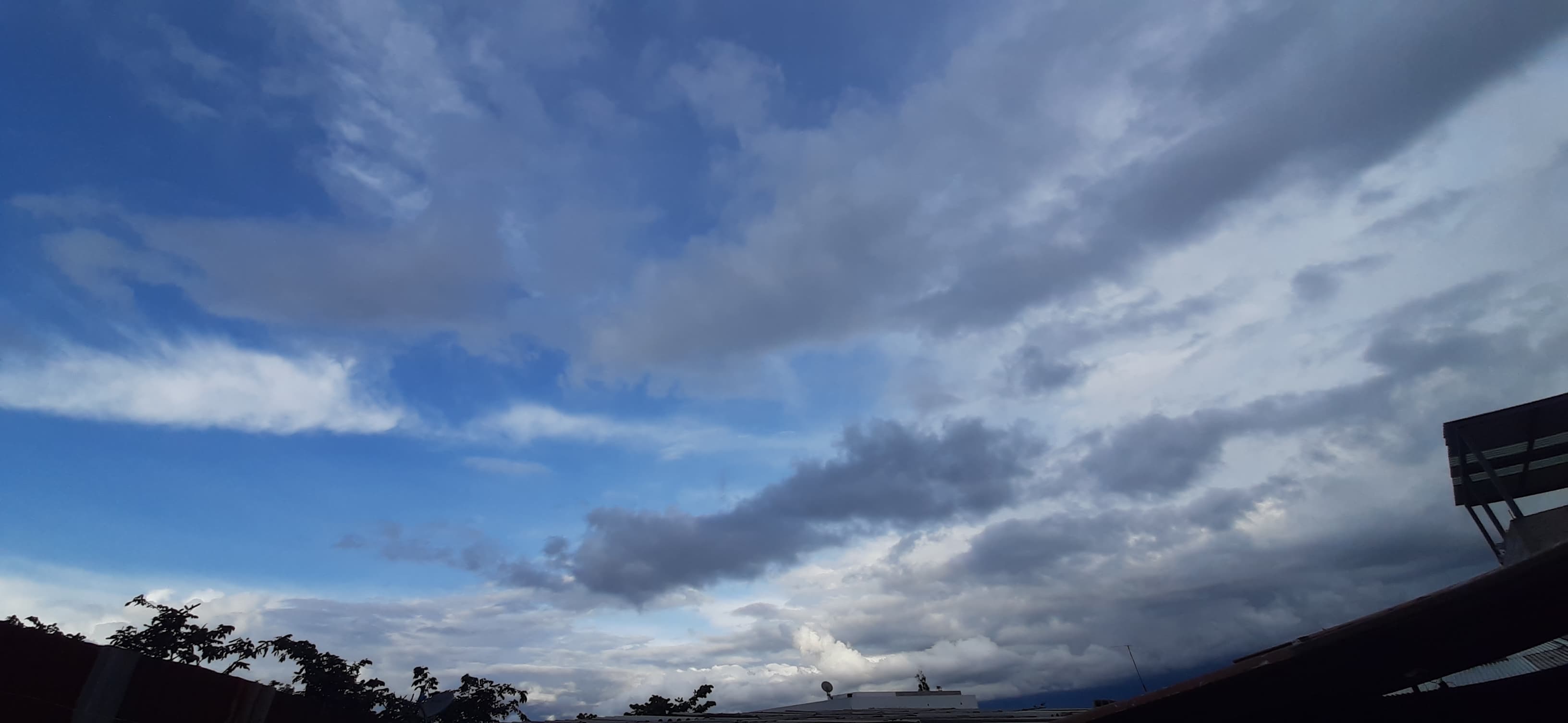 Ani banner image