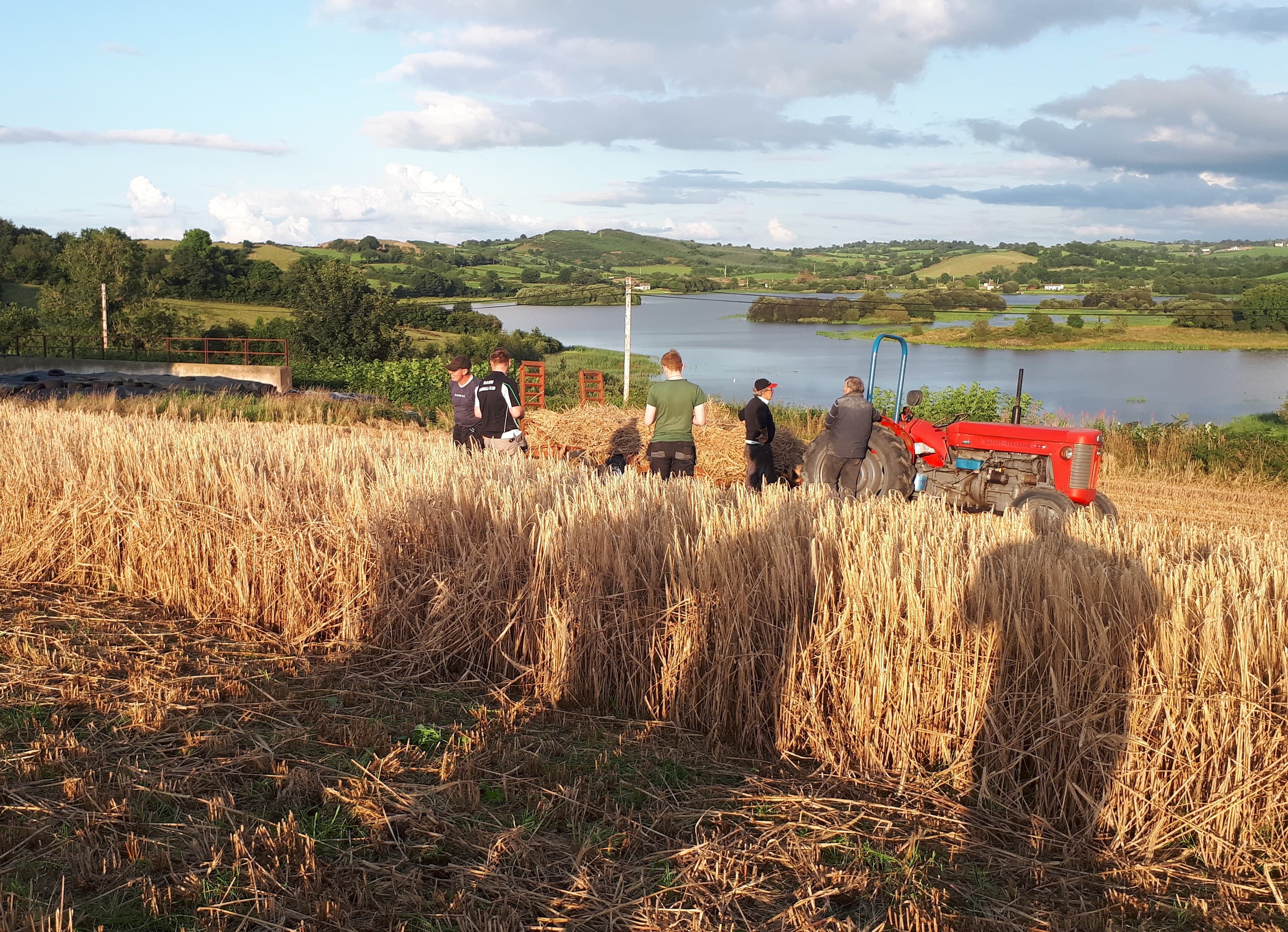 OnlyFarms banner image